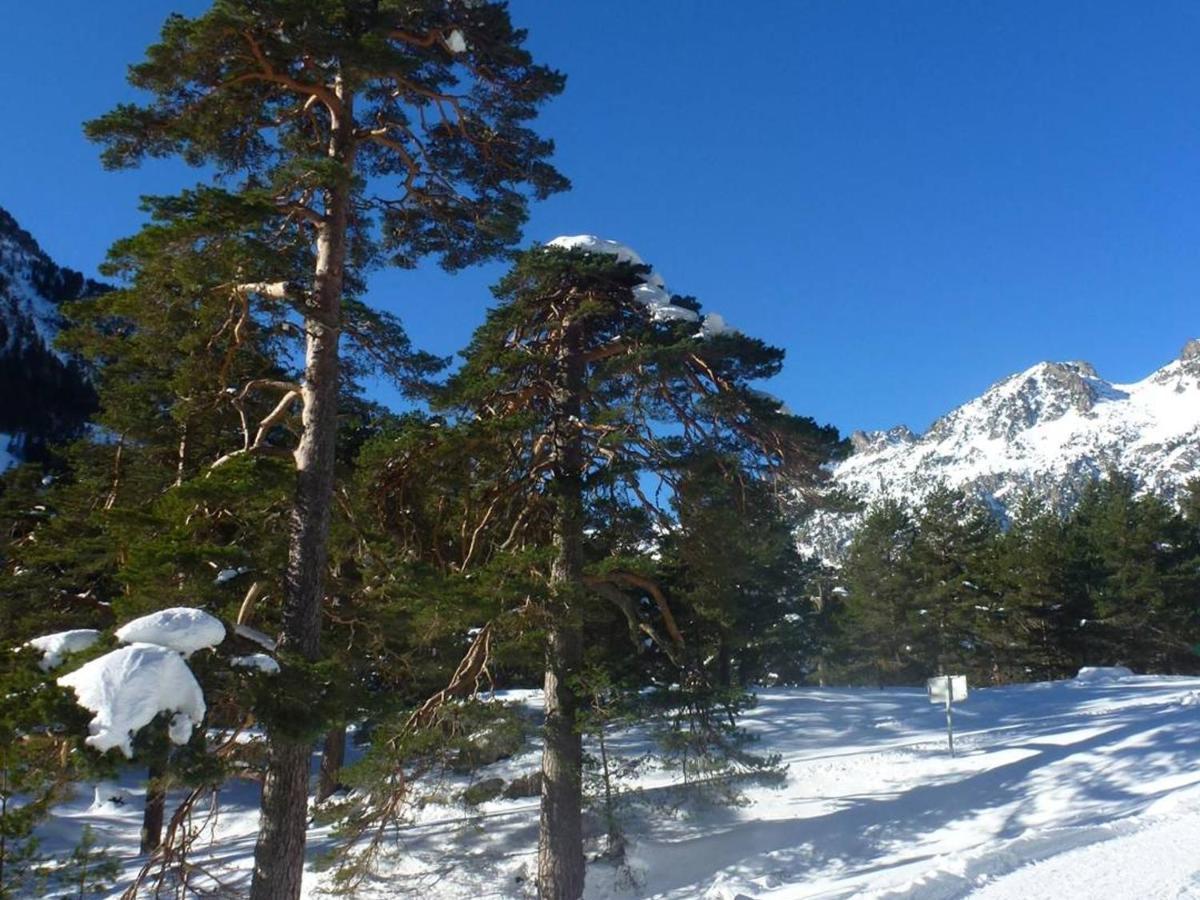 Appartement T2 Bis Cauterets - 50M Telecabine Et Thermes - 4/6 Pers - Parking Gratuit - Fr-1-234-300 外观 照片